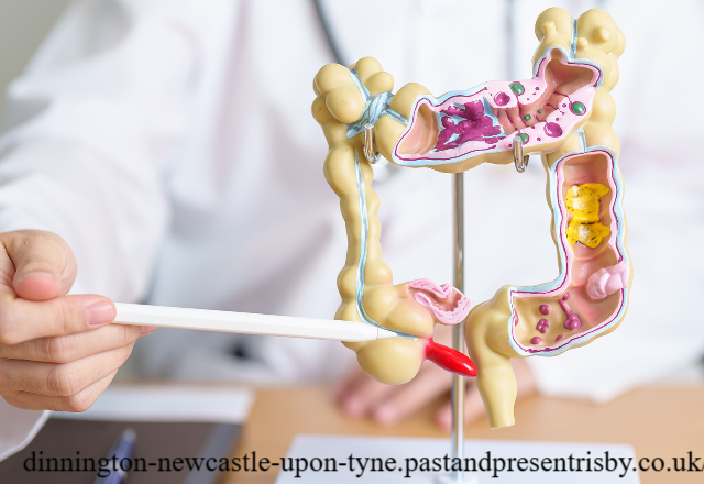 Mengenal Gejala Usus Buntu Kapan Harus ke Dokter